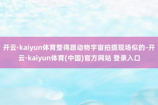 开云·kaiyun体育整得跟动物宇宙拍摄现场似的-开云·kaiyun体育(中国)官方网站 登录入口