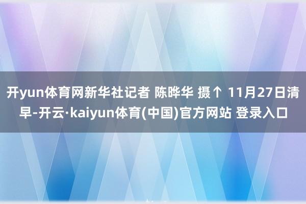 开yun体育网新华社记者 陈晔华 摄↑ 11月27日清早-开云·kaiyun体育(中国)官方网站 登录入口